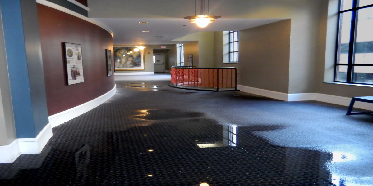 Commercial Water Restoration